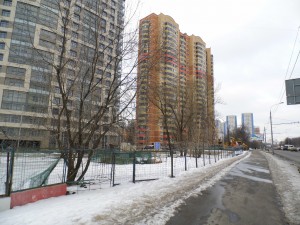 DSCI6036.JPG