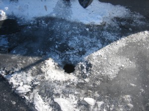 IMG_9510.JPG