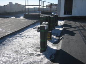 IMG_9512.JPG