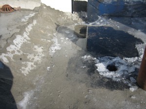 IMG_9515.JPG
