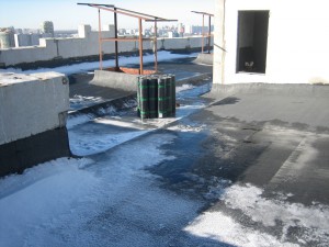 IMG_9519.JPG