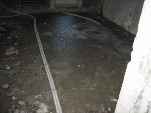 IMG_9503.JPG
