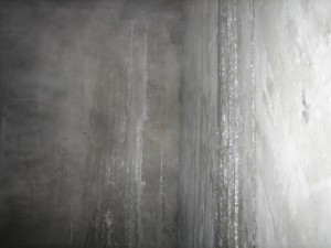 IMG_9504.JPG