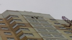 IMG_20160229_143251.jpg