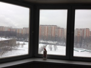 image.jpeg