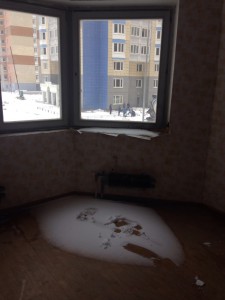image.jpeg