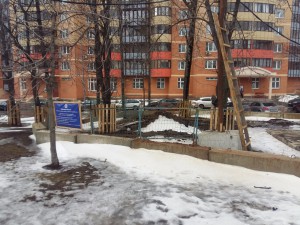 20160307_115916.jpg