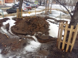 20160307_115953.jpg