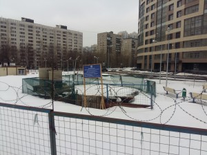 20160307_120221.jpg