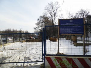 DSCI6279.JPG