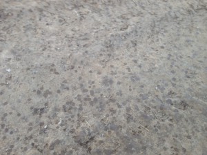 image.jpeg