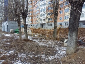 20160319_130712.jpg