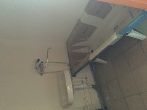 image.jpeg