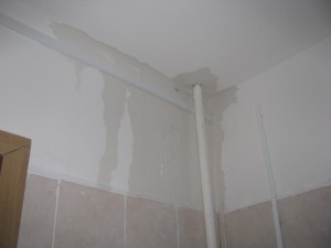 IMG_7751.JPG