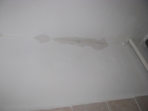 IMG_7752.JPG