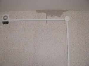 IMG_7755.JPG