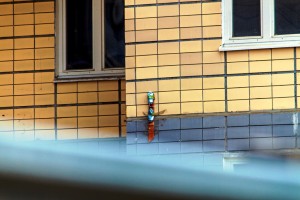 IMG_8647.jpg