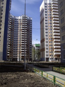 IMGP3775.JPG