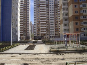 IMGP3776.JPG