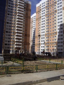 IMGP3780.JPG