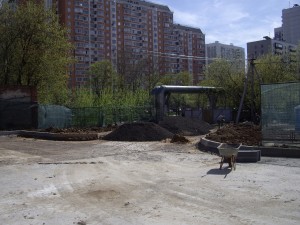 IMGP3797.JPG