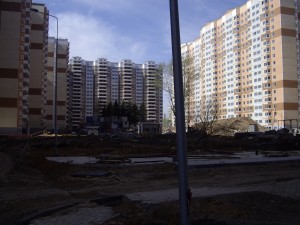 IMGP3811.JPG