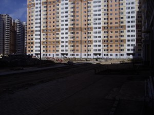 IMGP3812.JPG