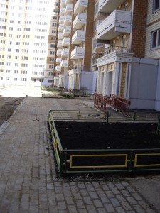 IMGP3813.JPG