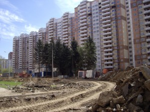 IMGP3843.JPG