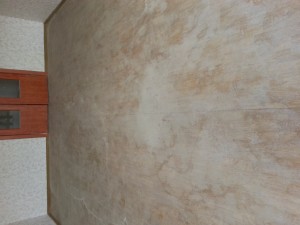 20160506_140821.jpg