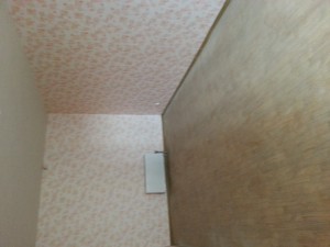 20160506_141010.jpg