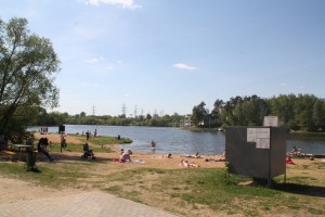 IMG_3119.JPG