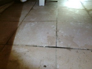 IMG_20160425_093844_1.jpg