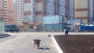 IMG_20160514_150403.jpg