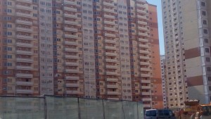 IMG_20160514_150412.jpg