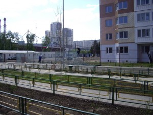 IMGP3900.JPG