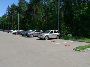 IMG_20160531_123014.jpg