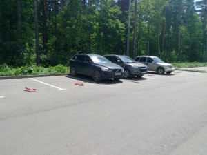 IMG_20160531_123105.jpg