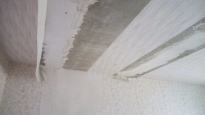IMG_20160530_140926.jpg