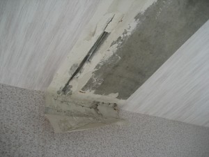 IMG_2484 2.jpg