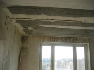 IMG_2483 2.jpg
