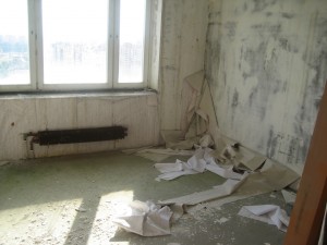 IMG_2482 2.jpg