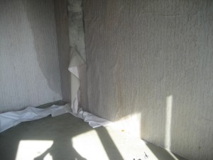 IMG_2480 2.jpg