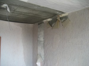 IMG_2479 2.jpg