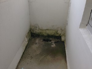 IMG_5355.JPG