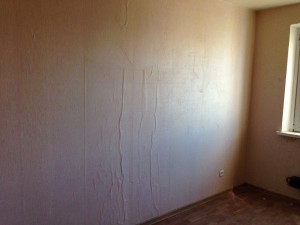 IMG_5445.JPG