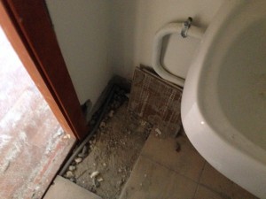 IMG_5459.JPG