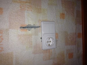 IMG_5463.JPG