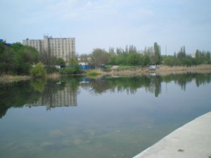 P1010287.JPG