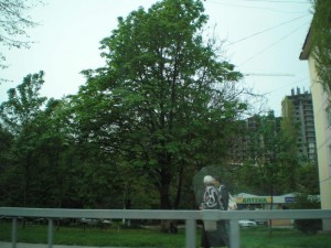 P1010291.JPG